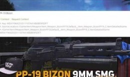 pubg最新武器更新爆料,全新枪械亮相，战斗体验再升级！